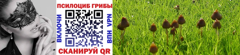 Галлюциногенные грибы ЛСД  Рославль 