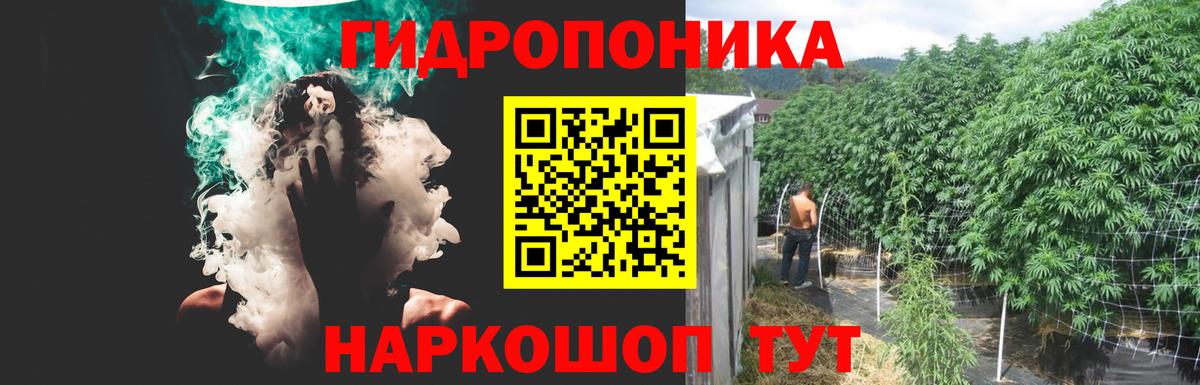 Бошки Шишки индика Рославль